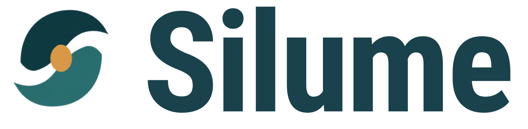 Silume — Gestão clínica com segurança e cuidado.